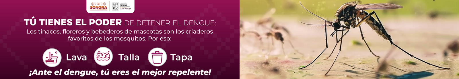 BANNERS-PORTALES-CAMPANA-DENGUE-SALUD_1600x277-PORTALES-GOBIERNO-scaled